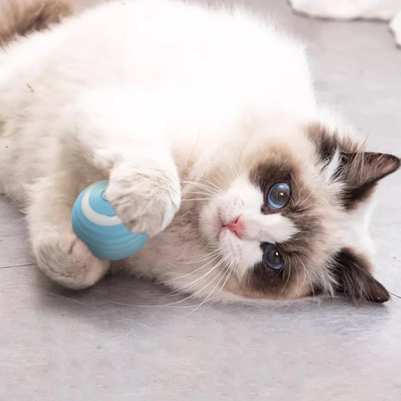 Pelota Inteligente para Gatos